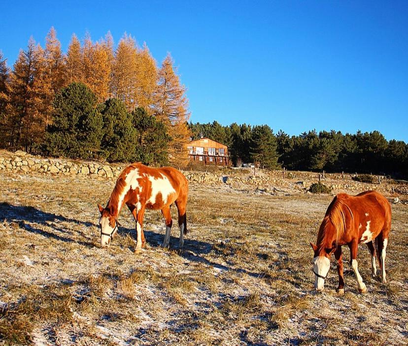 Gite Ranch Le Serpolet Angles Zewnętrze zdjęcie