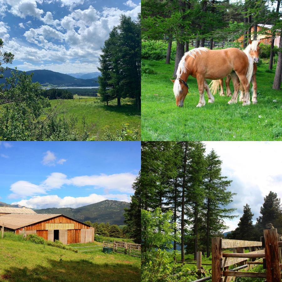 Gite Ranch Le Serpolet Angles Zewnętrze zdjęcie