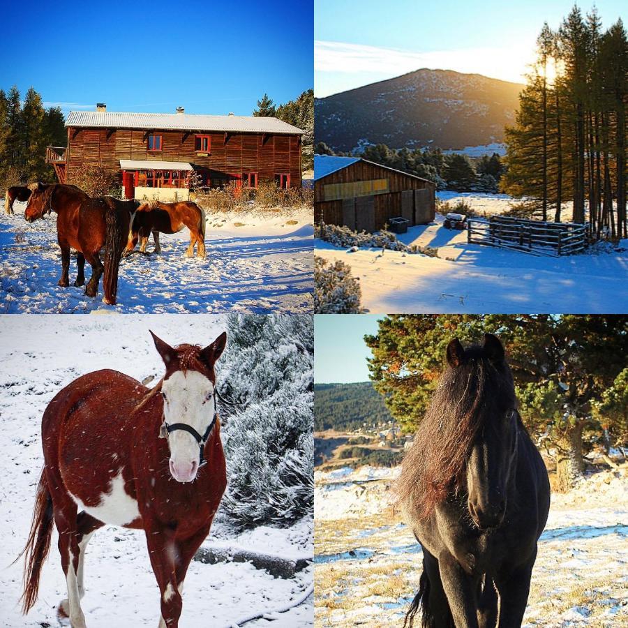 Gite Ranch Le Serpolet Angles Zewnętrze zdjęcie