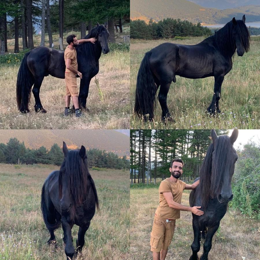 Gite Ranch Le Serpolet Angles Zewnętrze zdjęcie