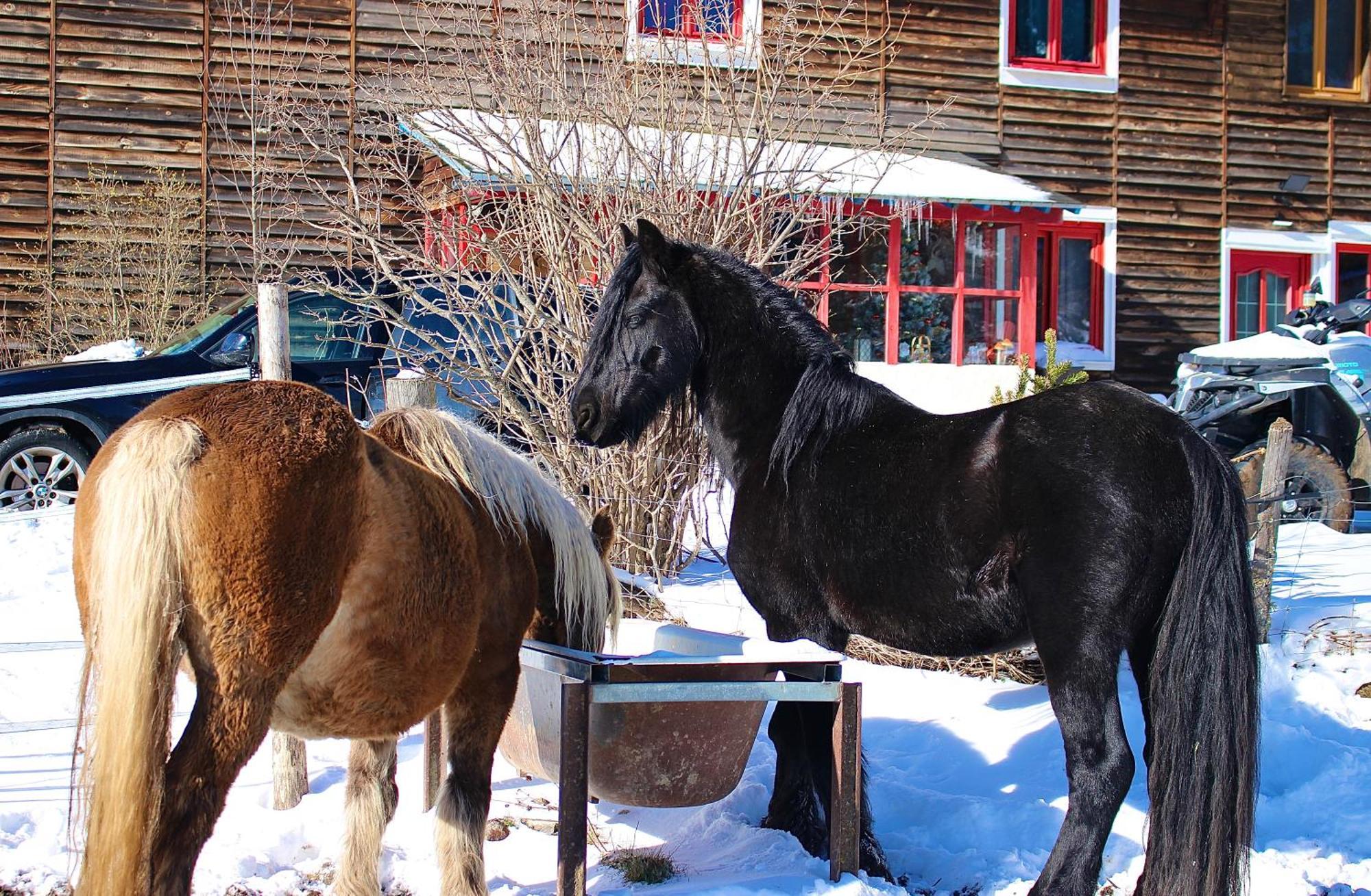 Gite Ranch Le Serpolet Angles Zewnętrze zdjęcie